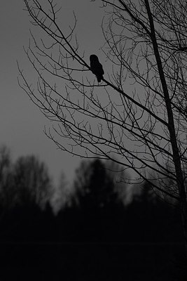 BUITEN BEELD Foto: 165473