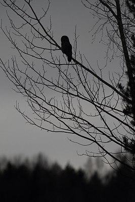 BUITEN BEELD Foto: 165475