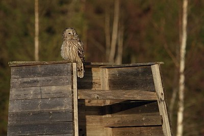 BUITEN BEELD Foto: 165485
