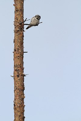 BUITEN BEELD Foto: 165498