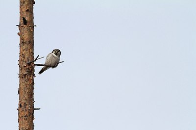 BUITEN BEELD Foto: 165500