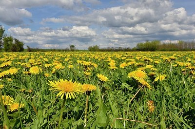 BUITEN BEELD Foto: 165508