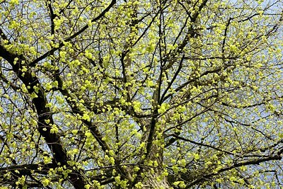 BUITEN BEELD Foto: 165532