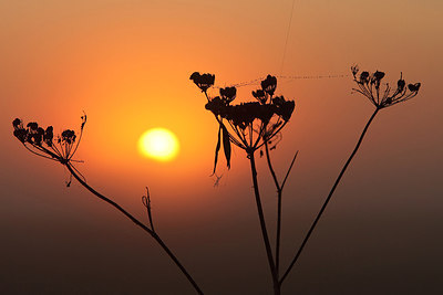 BUITEN BEELD Foto: 165543