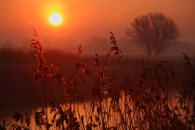 BUITEN BEELD Foto: 165544