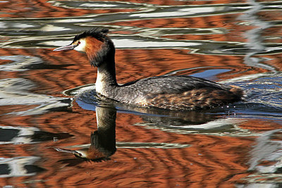 BUITEN BEELD Foto: 165710