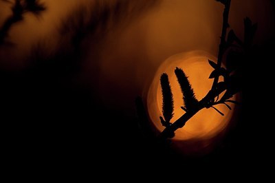 BUITEN BEELD Foto: 165711