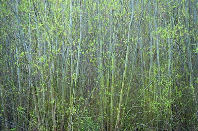 BUITEN BEELD Foto: 165727