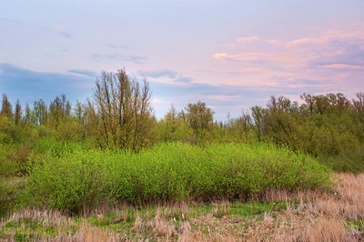 BUITEN BEELD Foto: 165735