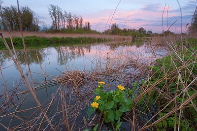 BUITEN BEELD Foto: 165736