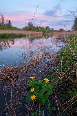 BUITEN BEELD Foto: 165737