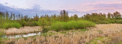 BUITEN BEELD Foto: 165740