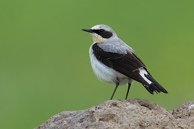 BUITEN BEELD Foto: 165789