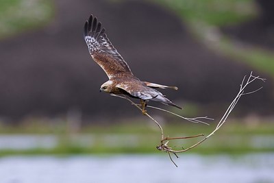 BUITEN BEELD Foto: 165832