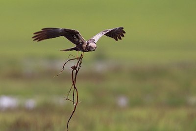BUITEN BEELD Foto: 165836