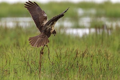 BUITEN BEELD Foto: 165837