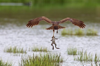 BUITEN BEELD Foto: 165839