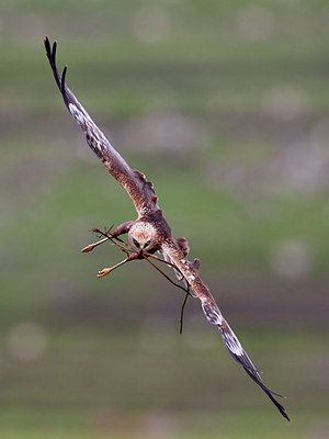 BUITEN BEELD Foto: 165840