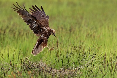 BUITEN BEELD Foto: 165844