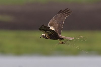 BUITEN BEELD Foto: 165847