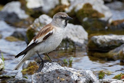 BUITEN BEELD Foto: 165857