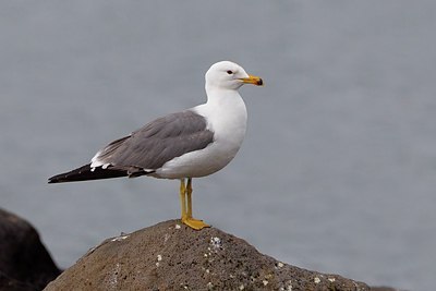 BUITEN BEELD Foto: 165865