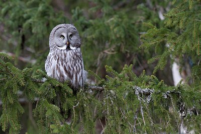 BUITEN BEELD Foto: 165875