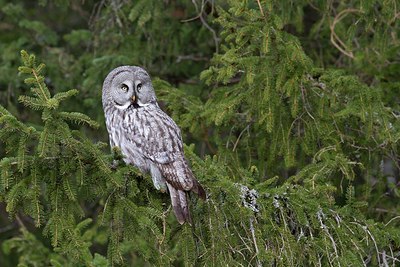BUITEN BEELD Foto: 165877