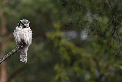 BUITEN BEELD Foto: 165883