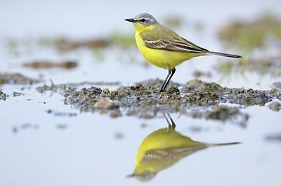 BUITEN BEELD Foto: 165891