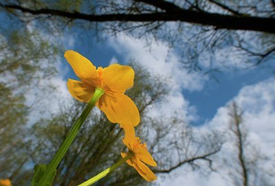 BUITEN BEELD Foto: 165915