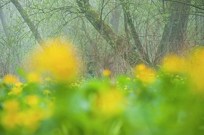 BUITEN BEELD Foto: 165930