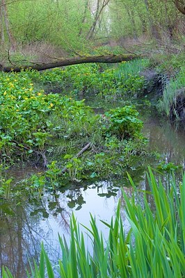 BUITEN BEELD Foto: 165942