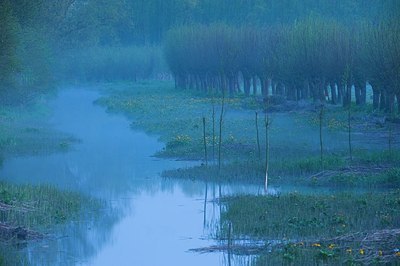 BUITEN BEELD Foto: 165948