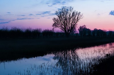 BUITEN BEELD Foto: 165949