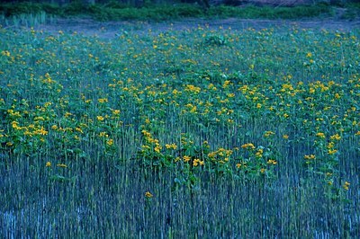 BUITEN BEELD Foto: 165951