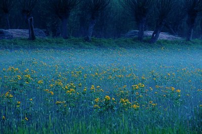 BUITEN BEELD Foto: 165952