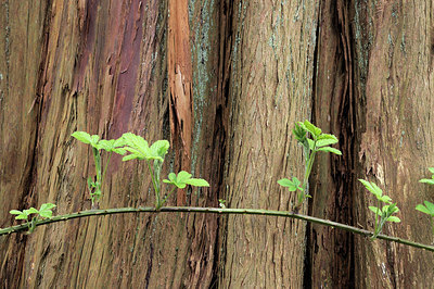 BUITEN BEELD Foto: 165956