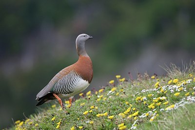 BUITEN BEELD Foto: 165971