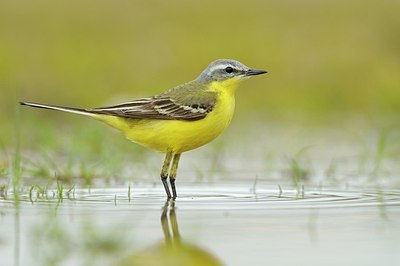 BUITEN BEELD Foto: 166005
