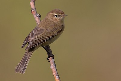 BUITEN BEELD Foto: 166006