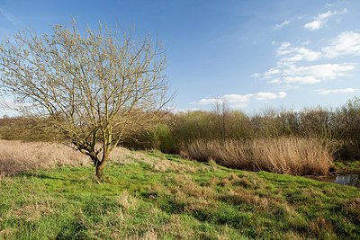 BUITEN BEELD Foto: 166040