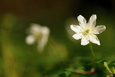 BUITEN BEELD Foto: 166090