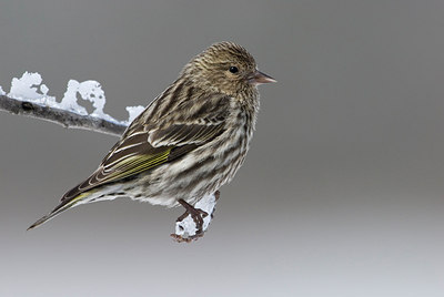 BUITEN BEELD Foto: 166124