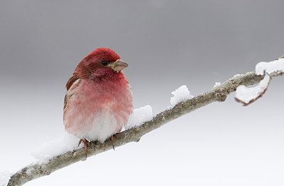 BUITEN BEELD Foto: 166129