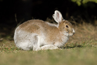 BUITEN BEELD Foto: 166154