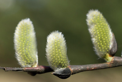 BUITEN BEELD Foto: 166173