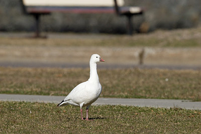 BUITEN BEELD Foto: 166178