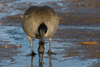 BUITEN BEELD Foto: 166180