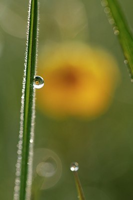 BUITEN BEELD Foto: 166299